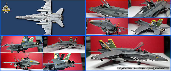 collage F18