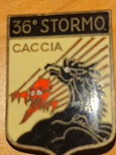 36 Stormo Badge